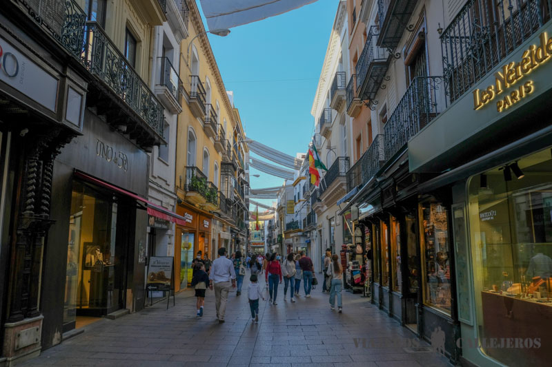 Calle Sierpes en el recorrido por Sevilla en 4 días