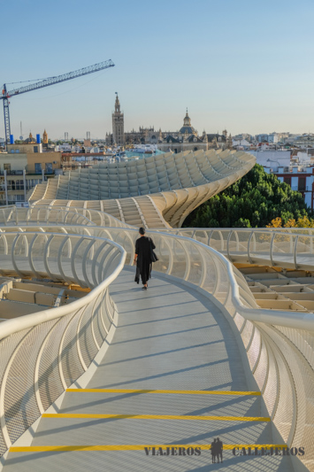 Setas de Sevilla
