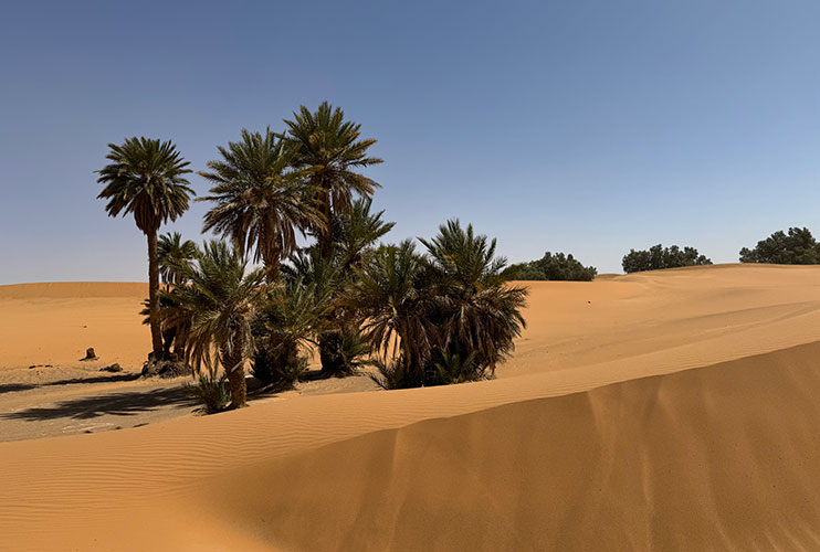 Desierto de Merzouga Marruecos