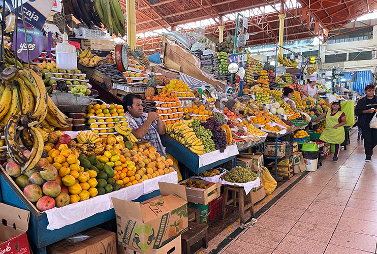 Mercado San Camilo Arequipa